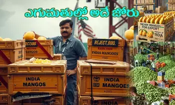 అమెరికా దుందుడుకు విధానాలు...భారత వ్యాపారుల అగచాట్లు అమెరికా దుందుడుకు విధానాలు...భారత వ్యాపారుల అగచాట్లు