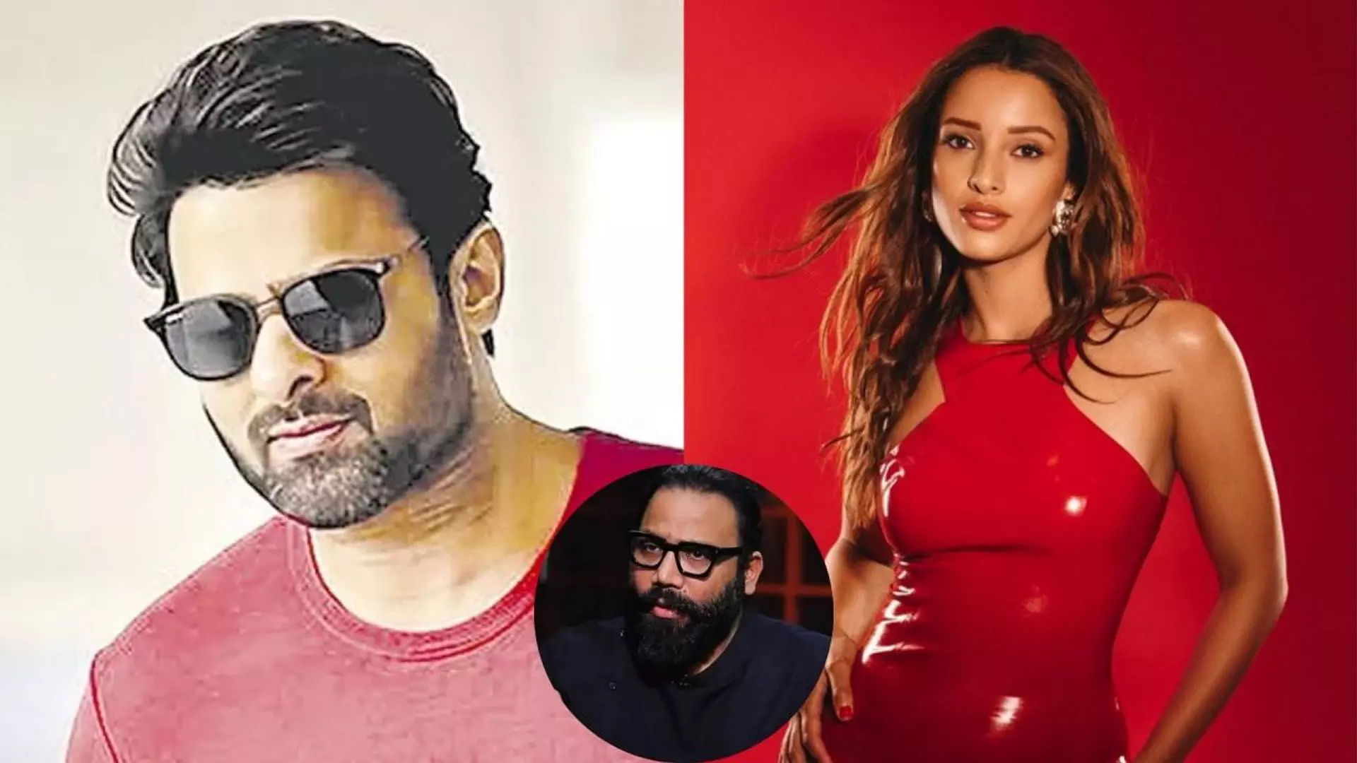 స్పిరిట్ హీరోయిన్ గా త్రిప్తి డిమ్రీ స్పిరిట్ హీరోయిన్ గా త్రిప్తి డిమ్రీ