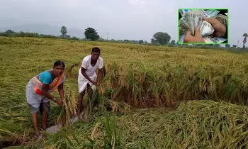 పంట నష్టపరిహారం నిధుల విడుదల పంట నష్టపరిహారం నిధుల విడుదల