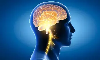 Health: మెదడు బాగా పనిచేయాలంటే ఇవి అస్సలు తినొద్దు Health: మెదడు బాగా పనిచేయాలంటే ఇవి అస్సలు తినొద్దు