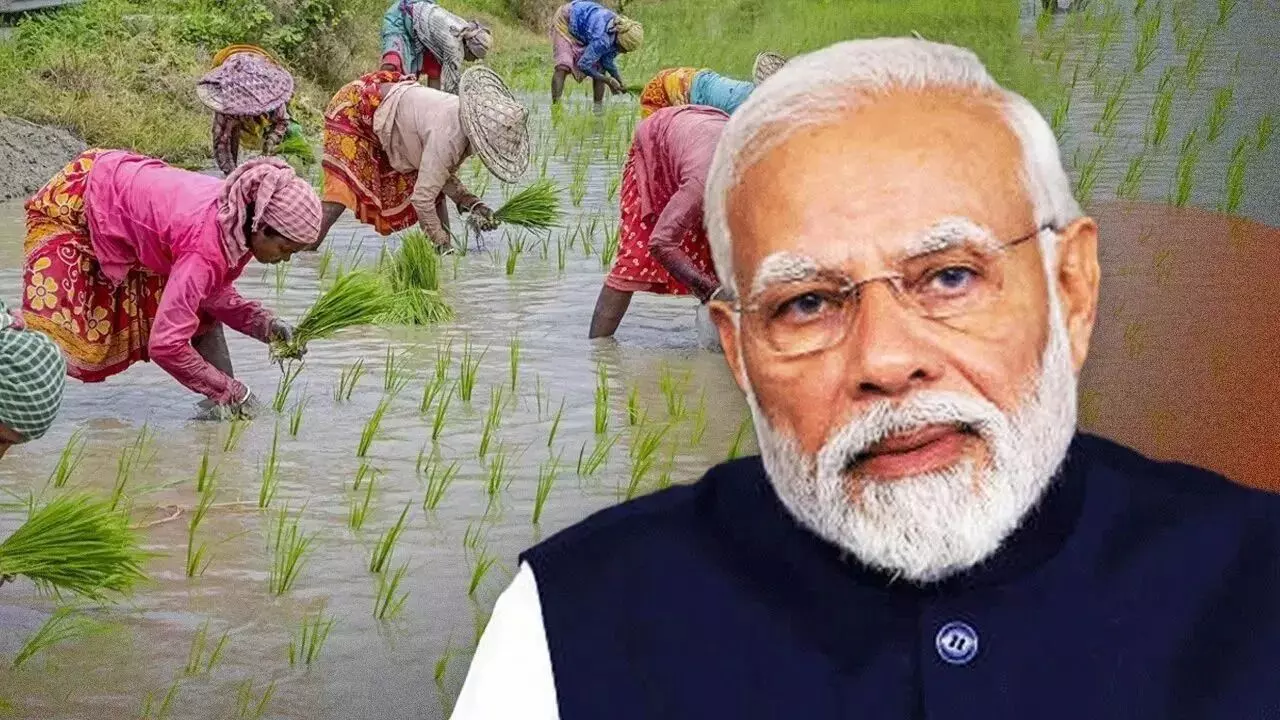 PM-KISAN : పీఎం కిసాన్ 20విడుత డబ్బులు ఎప్పుడు వేస్తారు ? ఈ సారి ఎంత మందికి డబ్బులు అందుతాయి ? PM-KISAN : పీఎం కిసాన్ 20విడుత డబ్బులు ఎప్పుడు వేస్తారు ? ఈ సారి ఎంత మందికి డబ్బులు అందుతాయి ?