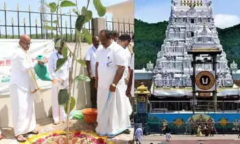 తిరుమలలో 80 శాతం పచ్చదనాన్ని పెంచుతాం టీటీడీ అదనపు ఈవో తిరుమలలో 80 శాతం పచ్చదనాన్ని పెంచుతాం టీటీడీ అదనపు ఈవో