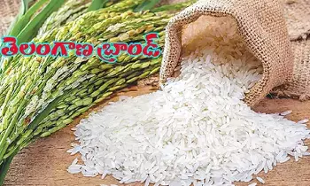 మార్కెట్లోకి తెలంగాణ బ్రాండ్ బియ్యం