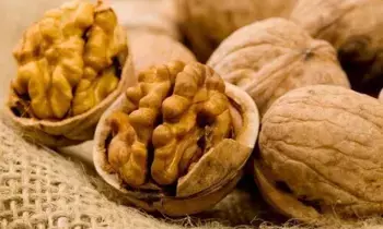 Health: వాల్నట్స్ తింటే ఇన్ని ప్రయోజనాలా? Health: వాల్నట్స్ తింటే ఇన్ని ప్రయోజనాలా?