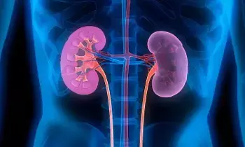 Health: రాత్రిపూట మాత్రమే కనిపించే ఈ 5 లక్షణాలు దేనికి సంకేతమంటే..? Health: రాత్రిపూట మాత్రమే కనిపించే ఈ 5 లక్షణాలు దేనికి సంకేతమంటే..?