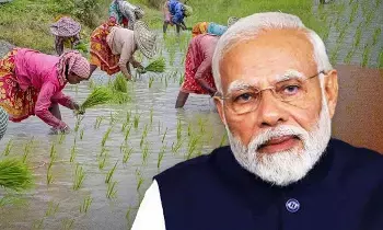 PM Kisan : రైతులకు బిగ్ అలర్ట్.. పీఎం కిసాన్ 20వ విడత రావాలంటే ఈ 6 మార్పులు త్వరగా చూడండి PM Kisan : రైతులకు బిగ్ అలర్ట్.. పీఎం కిసాన్ 20వ విడత రావాలంటే ఈ 6 మార్పులు త్వరగా చూడండి