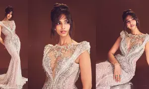 మీనాక్షీ చౌదరీ అందాల విందు మీనాక్షీ చౌదరీ అందాల విందు