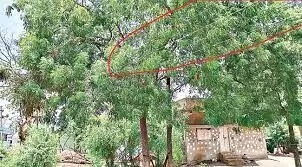 మృత్యుపాశాలవుతోన్న కరెంటు తీగెలు మృత్యుపాశాలవుతోన్న కరెంటు తీగెలు