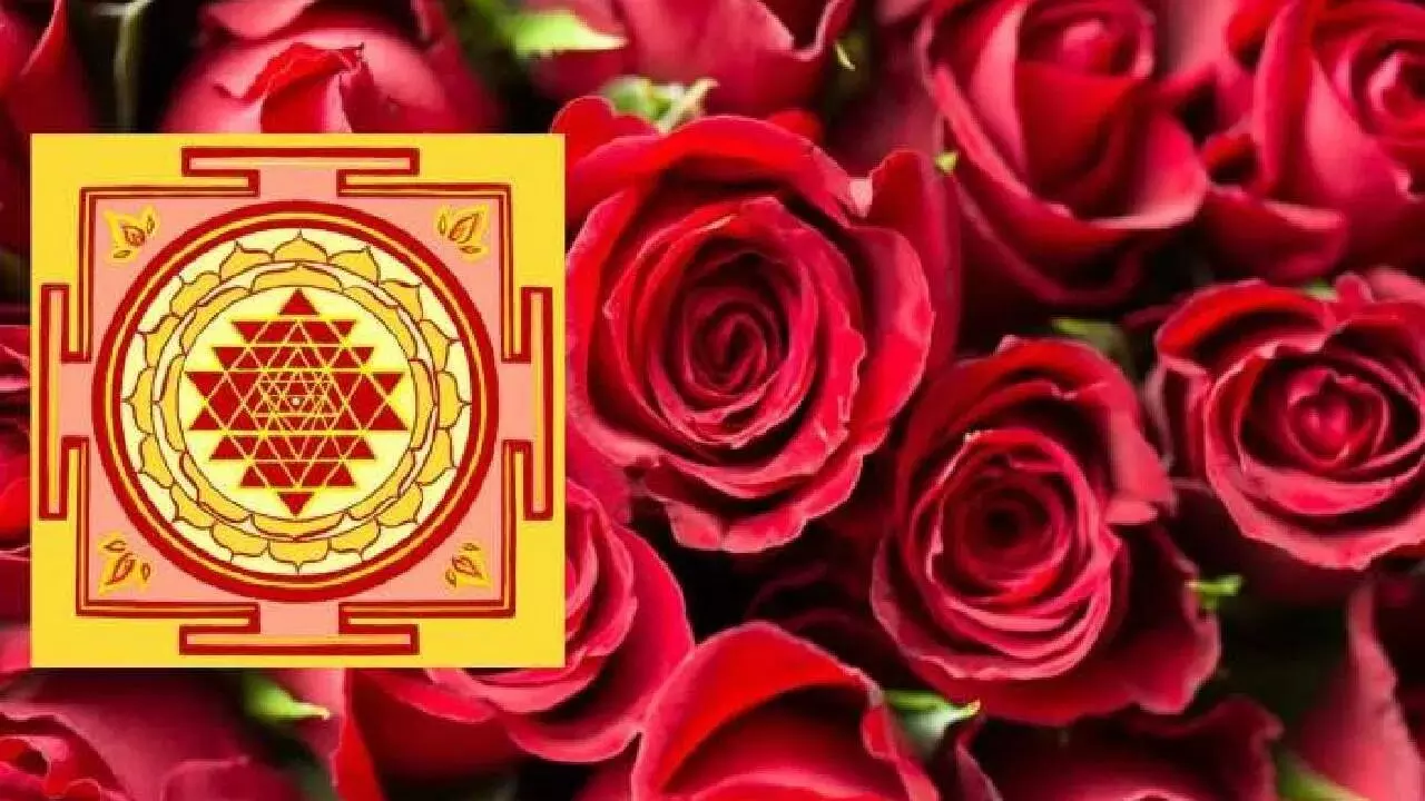 Love and Wealth: ప్రేమ, డబ్బు ఉండాలంటే ఈ వాస్తు సలహాను పాటించండి Love and Wealth: ప్రేమ, డబ్బు ఉండాలంటే ఈ వాస్తు సలహాను పాటించండి