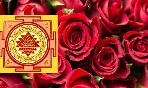Love and Wealth: ప్రేమ, డబ్బు ఉండాలంటే ఈ వాస్తు సలహాను పాటించండి Love and Wealth: ప్రేమ, డబ్బు ఉండాలంటే ఈ వాస్తు సలహాను పాటించండి
