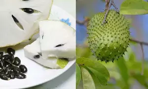 Eliminate Cancer: ఈ పండు తింటే క్యాన్సర్ మాయం Eliminate Cancer: ఈ పండు తింటే క్యాన్సర్ మాయం