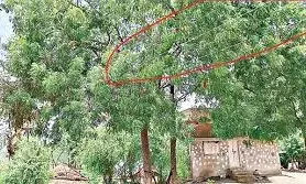 మృత్యుపాశాలవుతోన్న కరెంటు తీగెలు మృత్యుపాశాలవుతోన్న కరెంటు తీగెలు