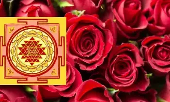 Love and Wealth: ప్రేమ, డబ్బు ఉండాలంటే ఈ వాస్తు సలహాను పాటించండి Love and Wealth: ప్రేమ, డబ్బు ఉండాలంటే ఈ వాస్తు సలహాను పాటించండి