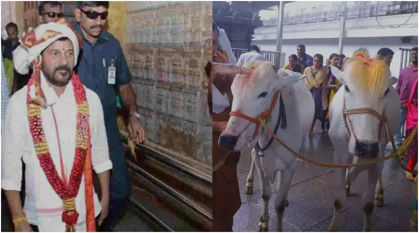 తెలంగాణలో గోసంరక్షణకు కీలక ముందడుగు - నాలుగు ప్రాంతాల్లో ఆధునిక గోశాలల నిర్మాణం తెలంగాణలో గోసంరక్షణకు కీలక ముందడుగు - నాలుగు ప్రాంతాల్లో ఆధునిక గోశాలల నిర్మాణం