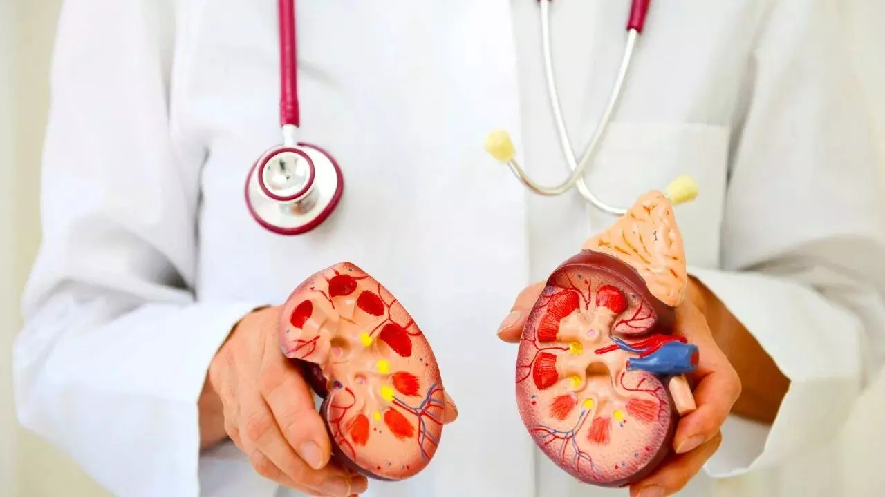 Kidney Failure: రాత్రిపూట కనిపించే ఈ 6 లక్షణాలు కిడ్నీల ఫెయిల్ కు సిగ్నల్.. Kidney Failure: రాత్రిపూట కనిపించే ఈ 6 లక్షణాలు కిడ్నీల ఫెయిల్ కు సిగ్నల్..