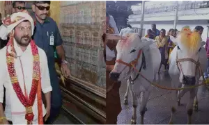 తెలంగాణలో గోసంరక్షణకు కీలక ముందడుగు - నాలుగు ప్రాంతాల్లో ఆధునిక గోశాలల నిర్మాణం తెలంగాణలో గోసంరక్షణకు కీలక ముందడుగు - నాలుగు ప్రాంతాల్లో ఆధునిక గోశాలల నిర్మాణం