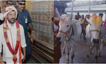 తెలంగాణలో గోసంరక్షణకు కీలక ముందడుగు - నాలుగు ప్రాంతాల్లో ఆధునిక గోశాలల నిర్మాణం