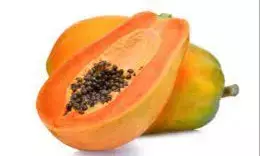 Papaya Power: ఒక్క బొప్పాయితో అన్ని రోగాలకు చెక్ Papaya Power: ఒక్క బొప్పాయితో అన్ని రోగాలకు చెక్