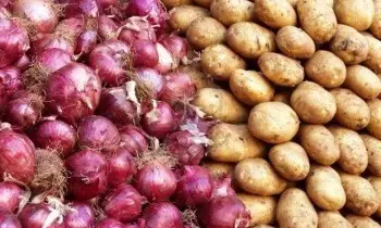 Potatoes with Onions: బంగాళాదుంపలు -ఉల్లిపాయలను ఒకే దగ్గర పెడితే ఏమవుతుంది..?