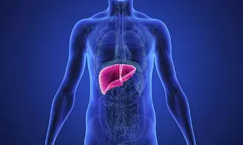 Liver Damage Habits:  మందు మాత్రమే కాదు..కాలేయాన్ని దెబ్బతీసే అలవాట్లు ఇవే..
