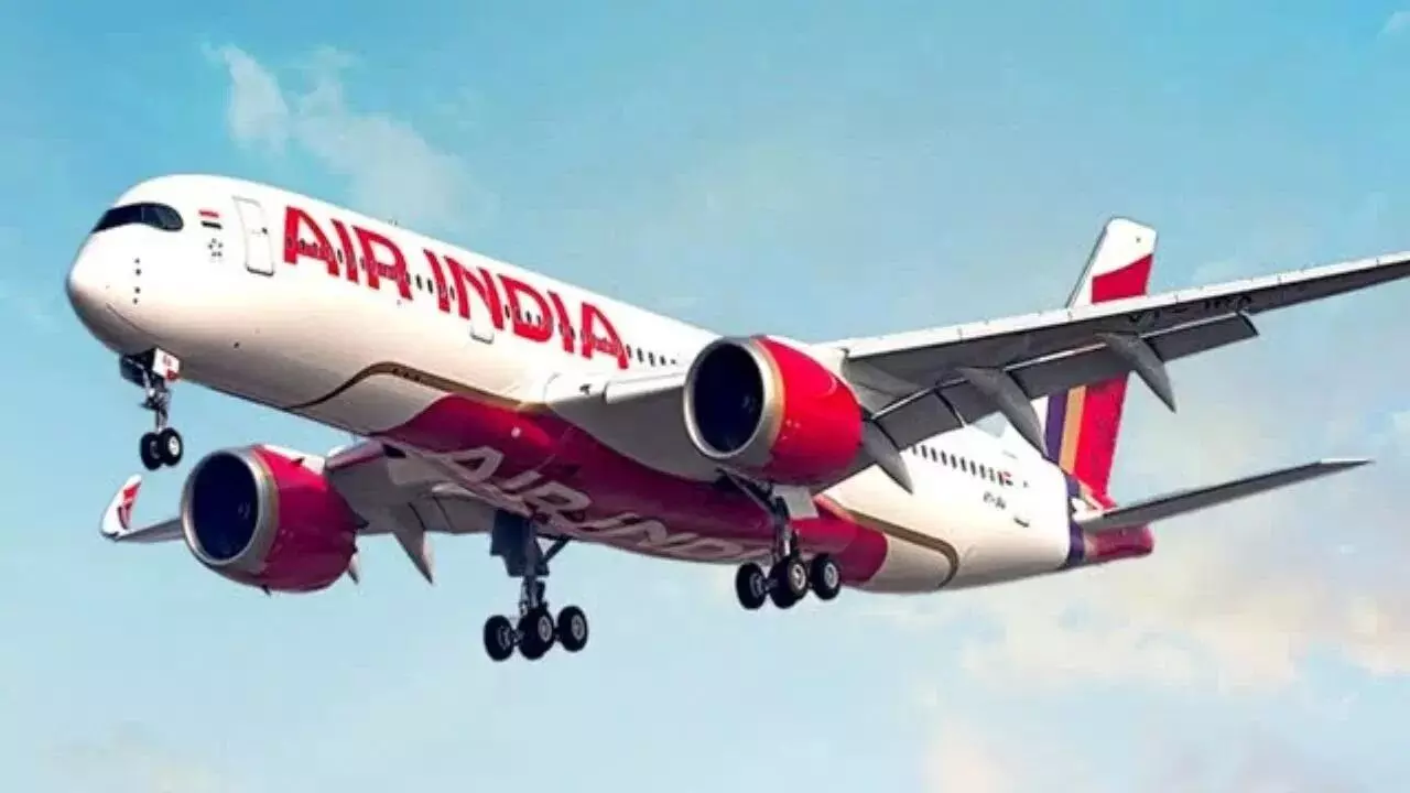 Air India : కష్టాల్లో ఎయిర్ ఇండియా..తగ్గిపోయిన బుకింగ్స్..ఆపై డీజీసీఏ కొరడా Air India : కష్టాల్లో ఎయిర్ ఇండియా..తగ్గిపోయిన బుకింగ్స్..ఆపై డీజీసీఏ కొరడా