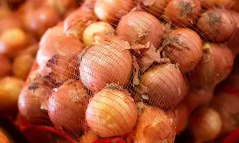 Onions: ఉల్లిపాయలను ఇలా నిల్వ చేయండి!