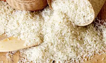 Basmati Rice : పోర్టులో ఇరుక్కుపోయిన రూ.2000కోట్ల బాస్మతి బియ్యం.. ఎందుకిలా జరిగింది Basmati Rice : పోర్టులో ఇరుక్కుపోయిన రూ.2000కోట్ల బాస్మతి బియ్యం.. ఎందుకిలా జరిగింది
