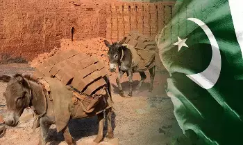 China : ఆరోగ్యం కోసం గాడిదలను చంపేస్తున్నారా? చైనా వ్యాపారంపై మండిపడుతున్న దేశాలు!