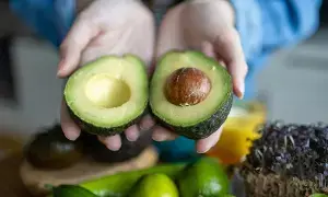 Avocado: ఉదయం పూట అవకాడోతో అద్భుత లాభాలు Avocado: ఉదయం పూట అవకాడోతో అద్భుత లాభాలు