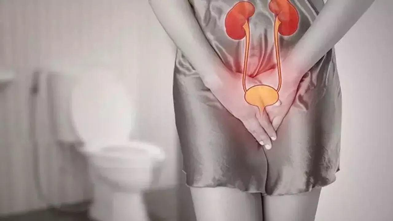 Frequent UTIs: మీకు తరచూ మూత్రనాళ ఇన్ఫెక్షన్లు వస్తున్నాయా? ఇదిగో పరిష్కారం.. Frequent UTIs: మీకు తరచూ మూత్రనాళ ఇన్ఫెక్షన్లు వస్తున్నాయా? ఇదిగో పరిష్కారం..