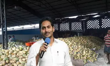 Bangarupalyam mango market : బంగారుపాళ్యెం మామిడి మార్కెట్కు వైయస్.జగన్ Bangarupalyam mango market : బంగారుపాళ్యెం మామిడి మార్కెట్కు వైయస్.జగన్