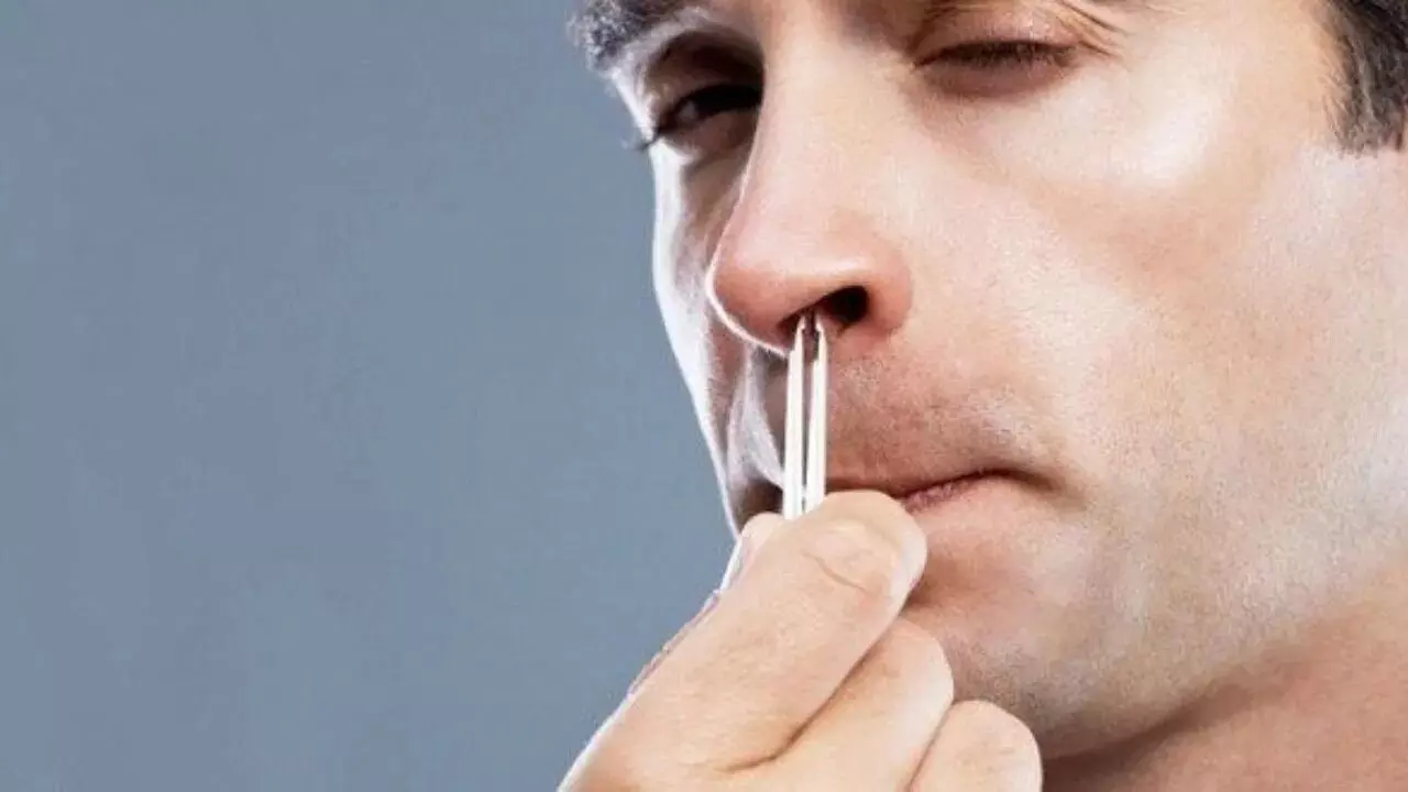 Nose Hair: ముక్కు వెంట్రుకలను తొలగిస్తున్నారా..? ఫస్ట్ ఇవి తెలుసుకోండి Nose Hair: ముక్కు వెంట్రుకలను తొలగిస్తున్నారా..? ఫస్ట్ ఇవి తెలుసుకోండి