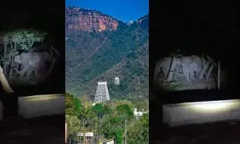 Tirumala Ghat road : తిరుమల ఘాట్ రోడ్డులో ఏనుగుల గుంపు Tirumala Ghat road : తిరుమల ఘాట్ రోడ్డులో ఏనుగుల గుంపు