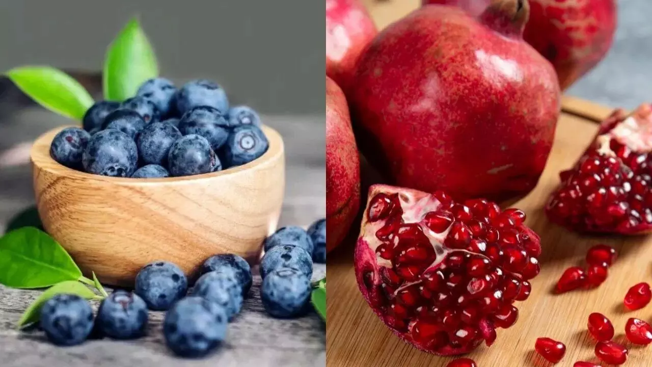 Pomegranate or Blueberries: దానిమ్మ లేదా బ్లూబెర్రీస్.. రెండింటిలో ఆరోగ్యానికి ఏది మంచిది..? Pomegranate or Blueberries: దానిమ్మ లేదా బ్లూబెర్రీస్.. రెండింటిలో ఆరోగ్యానికి ఏది మంచిది..?