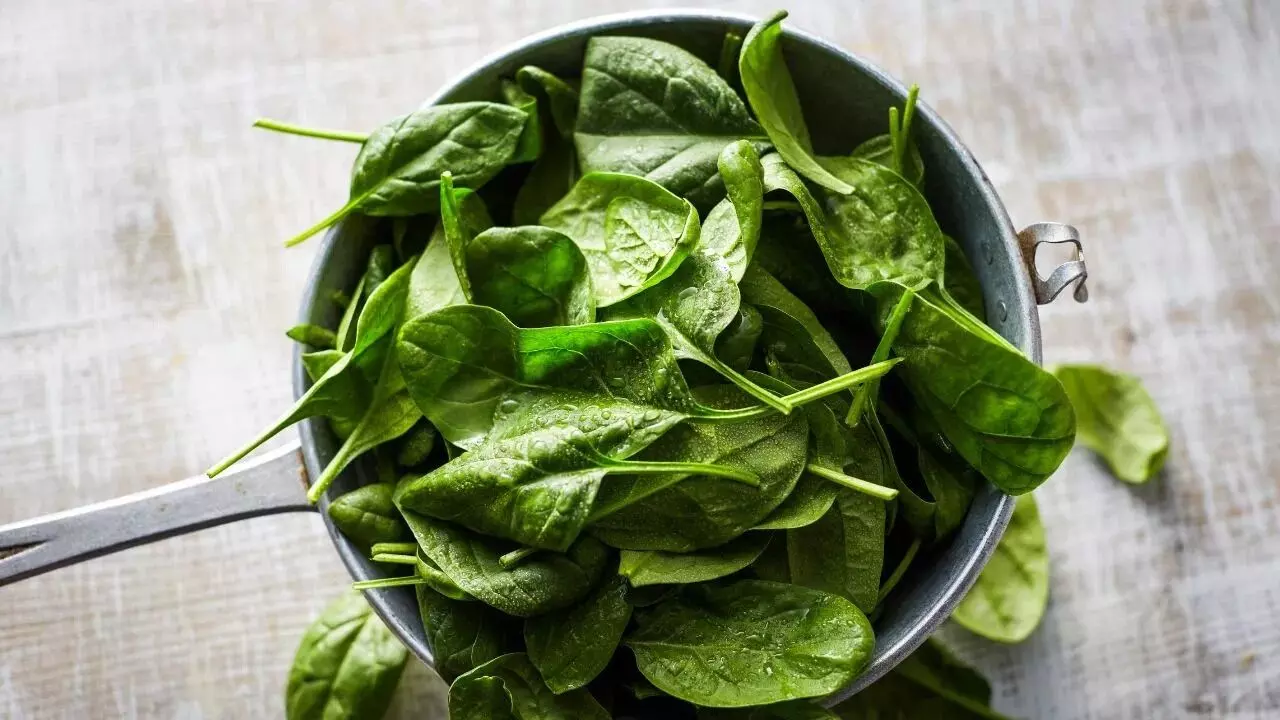 Spinach: పాలకూరతో బెల్లి ఫ్యాట్ తగ్గుతుందా..? Spinach: పాలకూరతో బెల్లి ఫ్యాట్ తగ్గుతుందా..?