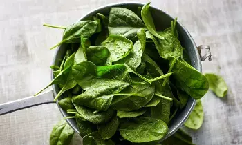 Spinach: పాలకూరతో బెల్లి ఫ్యాట్ తగ్గుతుందా..? Spinach: పాలకూరతో బెల్లి ఫ్యాట్ తగ్గుతుందా..?