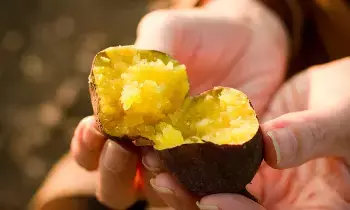 Sweet Potato Face Mask: ముఖం మెరిసి పోవాలా..చిలగడదుంప ఫేస్ మాస్క్ ట్రై చేయండి Sweet Potato Face Mask: ముఖం మెరిసి పోవాలా..చిలగడదుంప ఫేస్ మాస్క్ ట్రై చేయండి