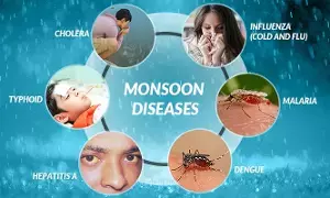 సీజనల్ వ్యాధులకు హోమియో వైద్యం సీజనల్ వ్యాధులకు హోమియో వైద్యం
