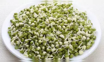 Benefits of Eating Sprouts: మొలకలు తింటే లాభాలు ఏంటీ.. తప్పక తెలుసుకోండి! Benefits of Eating Sprouts: మొలకలు తింటే లాభాలు ఏంటీ.. తప్పక తెలుసుకోండి!