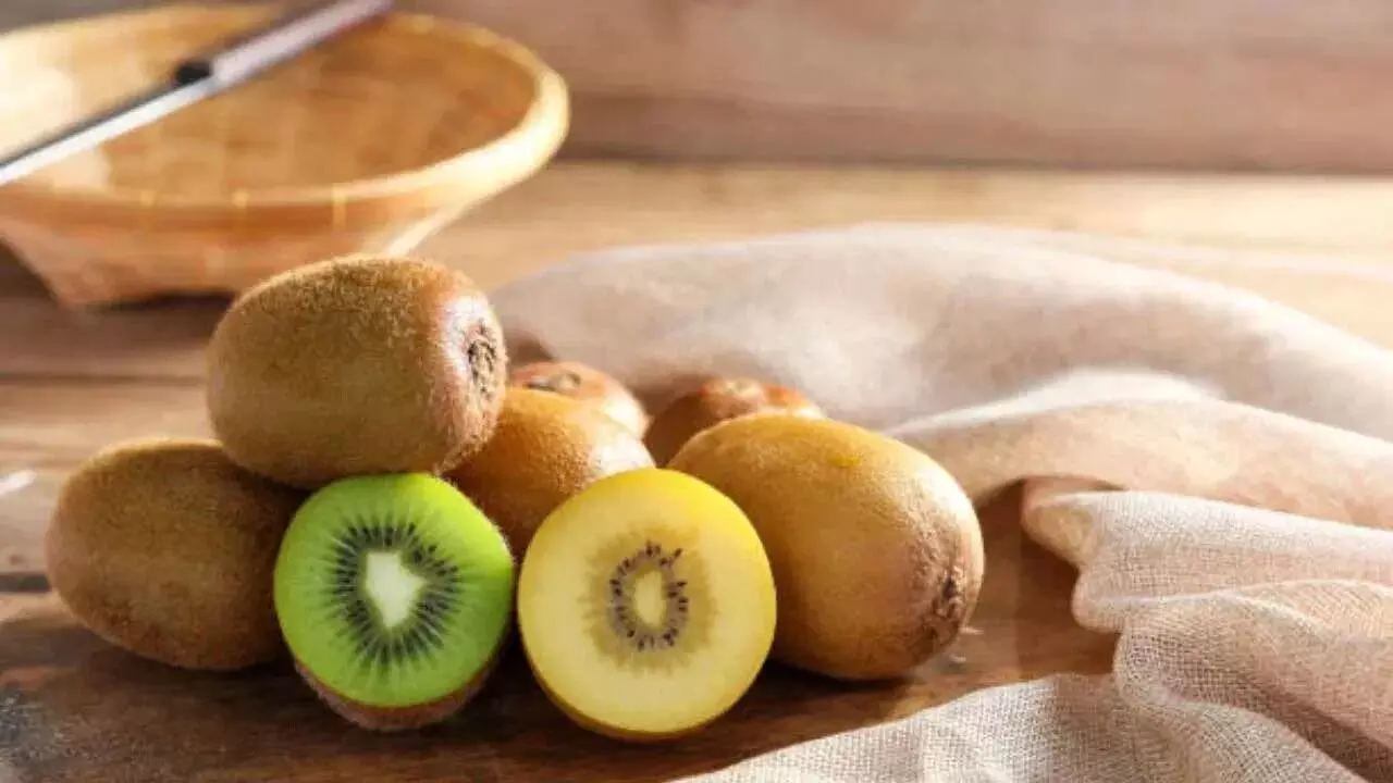 Kiwi Fruit: షుగర్ ఉన్నవారు కివి పండు తినవచ్చా? Kiwi Fruit: షుగర్ ఉన్నవారు కివి పండు తినవచ్చా?