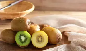 Kiwi Fruit: షుగర్ ఉన్నవారు కివి పండు తినవచ్చా? Kiwi Fruit: షుగర్ ఉన్నవారు కివి పండు తినవచ్చా?