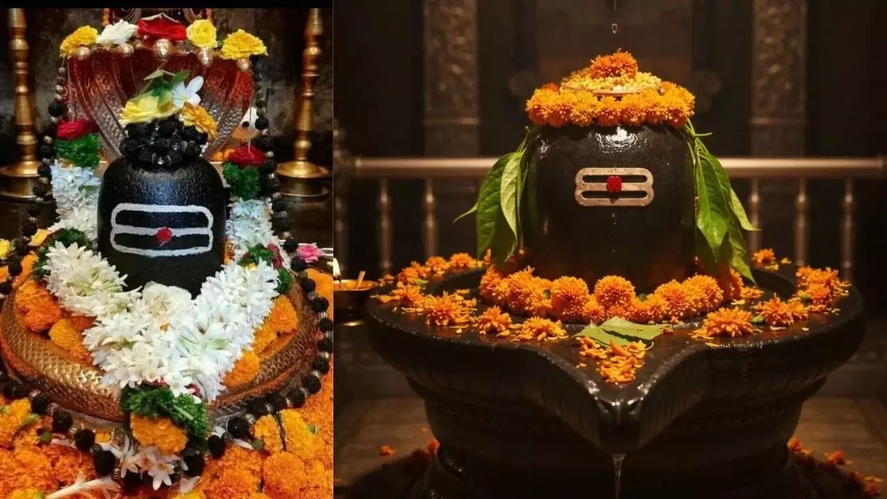 Top Offerings to Lord Shiva: శివుడికి ఏవి సమర్పిస్తే ఎక్కువ ప్రయోజనాలు ఉంటాయి..? Top Offerings to Lord Shiva: శివుడికి ఏవి సమర్పిస్తే ఎక్కువ ప్రయోజనాలు ఉంటాయి..?