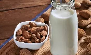 Drinking Milk Before Bed: పడుకునే ముందు పాలు తాగడం మంచిదేనా..? ఇవి తప్పక తెలుసుకోండి Drinking Milk Before Bed: పడుకునే ముందు పాలు తాగడం మంచిదేనా..? ఇవి తప్పక తెలుసుకోండి