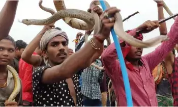 On Nag Panchami: నాగపంచమి నాడు విష పాములను కత్తికి చుట్టి ఆలయానికి.. ఎక్కడో తెలుసా..? On Nag Panchami: నాగపంచమి నాడు విష పాములను కత్తికి చుట్టి ఆలయానికి.. ఎక్కడో తెలుసా..?