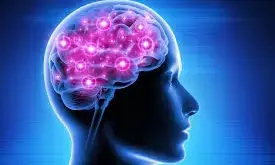 Sharper Brain: మీ మెదడు చురుకుగా పనిచేయాలంటే ఈ ఆహారాలు తినండి Sharper Brain: మీ మెదడు చురుకుగా పనిచేయాలంటే ఈ ఆహారాలు తినండి