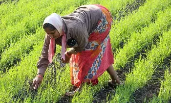 PM DDK Yojana : కోట్లాది మంది రైతుల జీవితాలు మార్చేందుకు కేంద్రం కొత్త పథకం..  దీని వల్ల ఏంటి ఉపయోగం ?