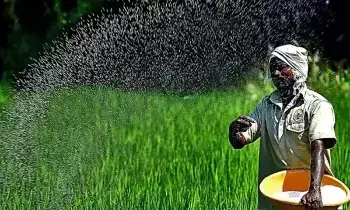 PM Kisan : రైతులకు గుడ్ న్యూస్.. నేడు పీఎం కిసాన్ 20వ విడత రిలీజ్ ? PM Kisan : రైతులకు గుడ్ న్యూస్.. నేడు పీఎం కిసాన్ 20వ విడత రిలీజ్ ?
