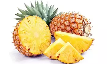 Pineapple Benefits: క్యాన్సర్ నుంచి గుండె దాకా.. పైనాపిల్తో ఎన్నో లాభాలు Pineapple Benefits: క్యాన్సర్ నుంచి గుండె దాకా.. పైనాపిల్తో ఎన్నో లాభాలు