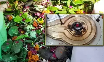 Whips to Lord Shiva: శివుడికి పీతలు సమర్పించే ఆలయం ఎక్కడుందో తెలుసా..? Whips to Lord Shiva: శివుడికి పీతలు సమర్పించే ఆలయం ఎక్కడుందో తెలుసా..?