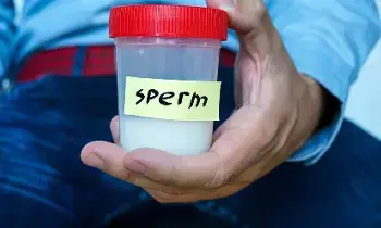 Increase Sperm Count: స్పెర్మ్ కౌంట్ త్వరగా పెరగాలంటే ఎలా? Increase Sperm Count: స్పెర్మ్ కౌంట్ త్వరగా పెరగాలంటే ఎలా?